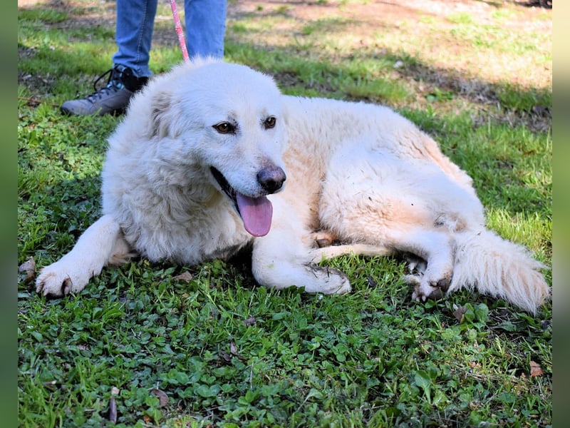 Fyona - Hell wie das Licht