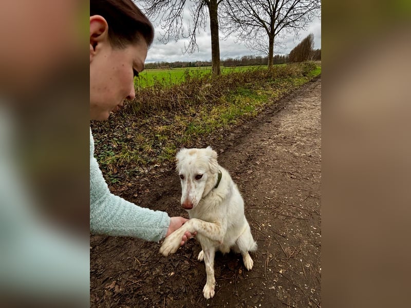 Milo: ein Schatz, der immer lacht