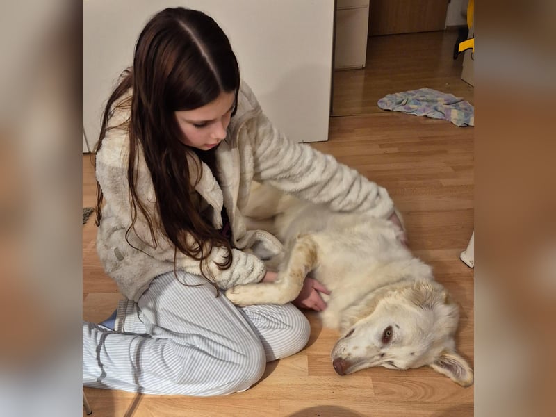 Milo: ein Schatz, der immer lacht