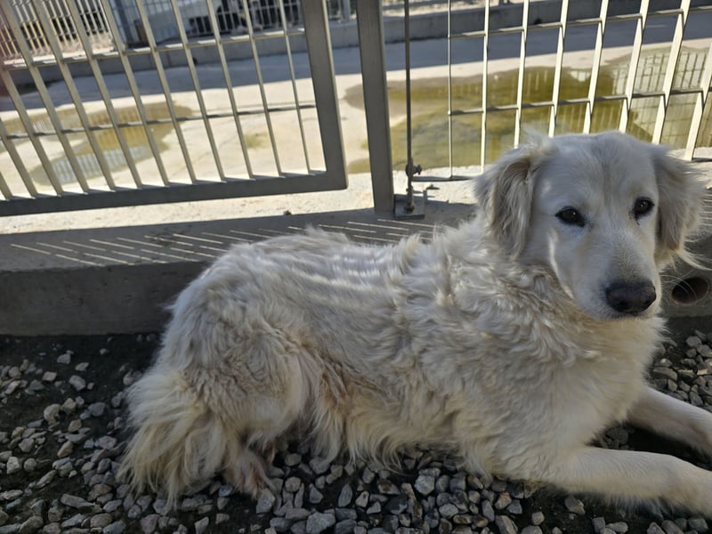 Miriam: Schritt für Schritt ins Glück