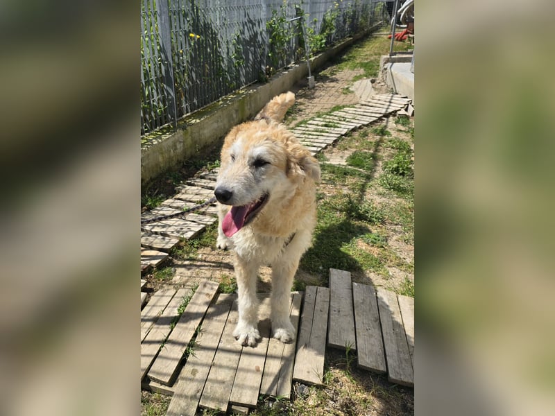 Tito: wie ein Sechser im Lotto