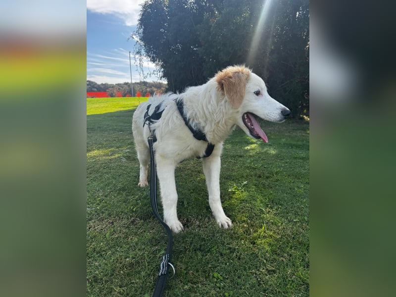 Tom: verliebt in alle Menschen