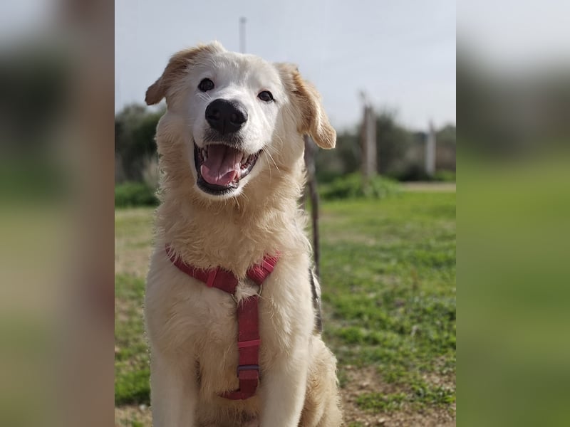 Tom: verliebt in alle Menschen