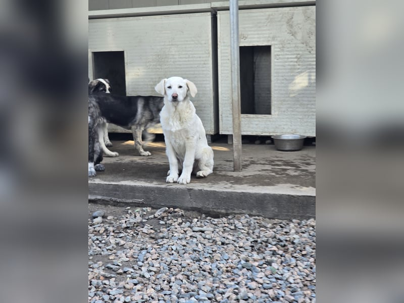 Clarissa: von der Flasche ins Tierheim