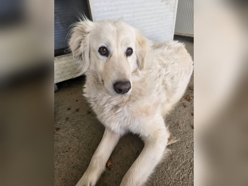 Miriam: Schritt für Schritt ins Glück