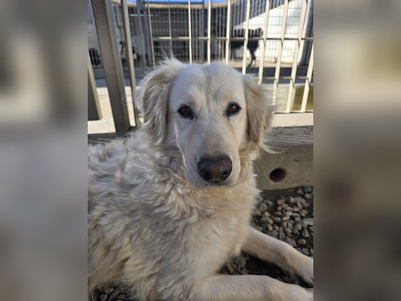 Miriam: Schritt für Schritt ins Glück