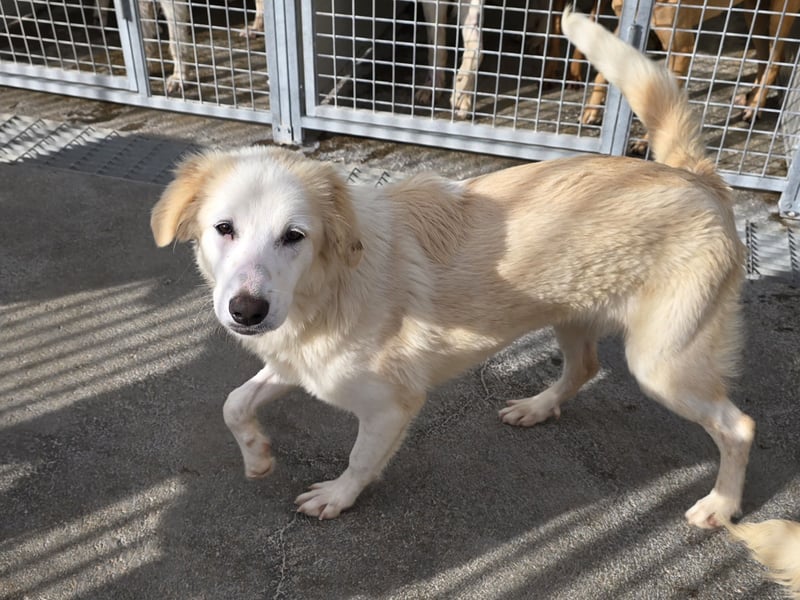 Tom: verliebt in alle Menschen