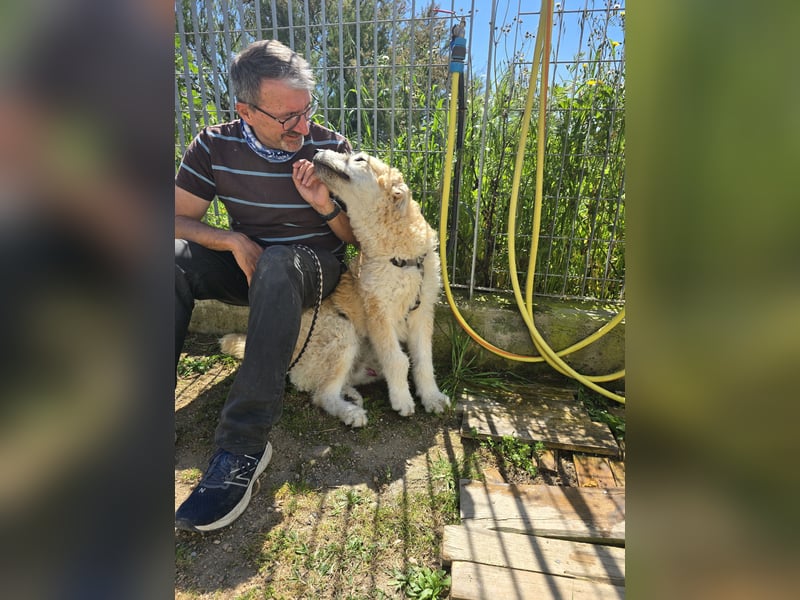 Tito: wie ein Sechser im Lotto