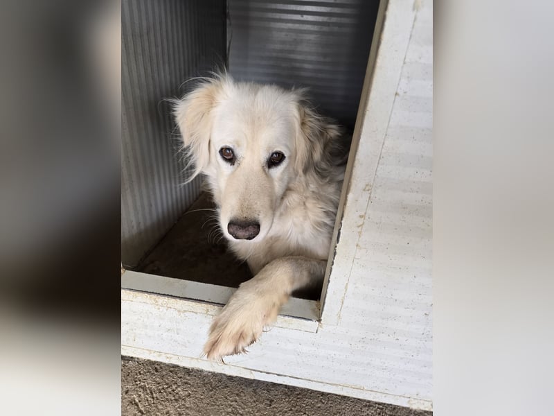 Miriam: Schritt für Schritt ins Glück