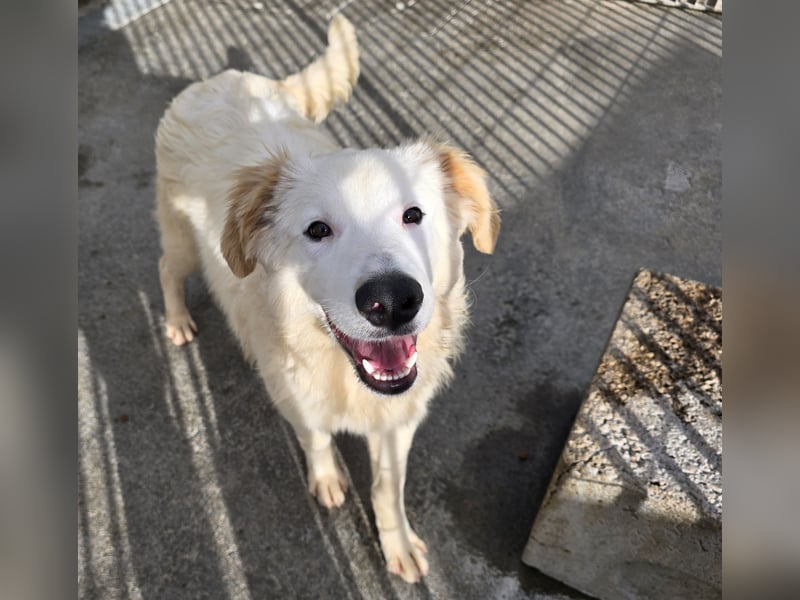 Tom: verliebt in alle Menschen