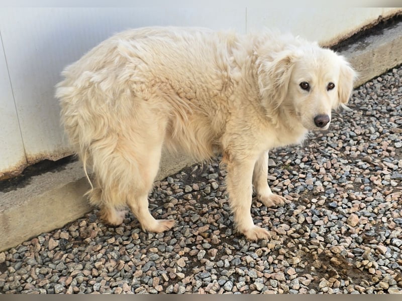 Miriam: Schritt für Schritt ins Glück
