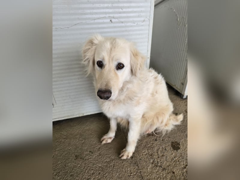 Miriam: Schritt für Schritt ins Glück