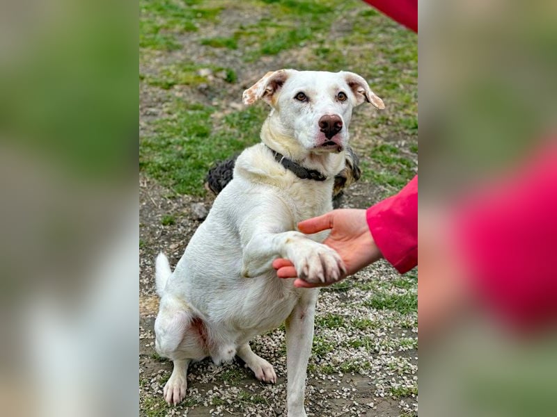 ICE wartet auf Dich!