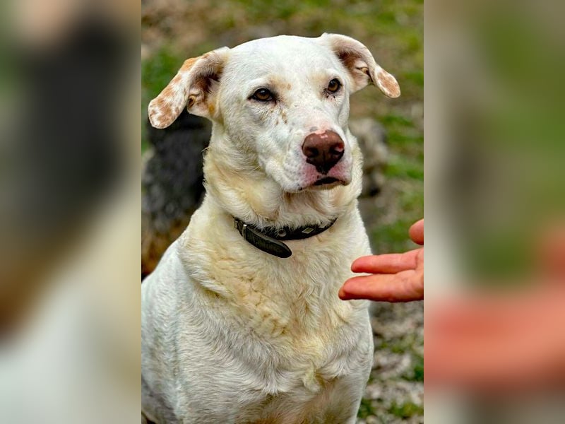 ICE wartet auf Dich!