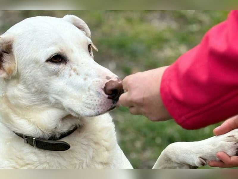 ICE wartet auf Dich!