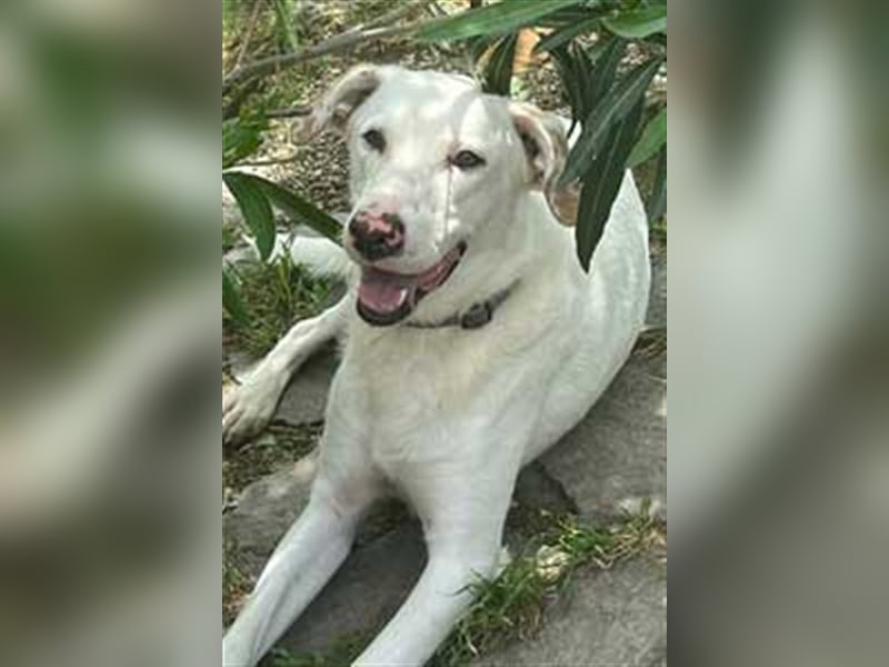 ICE wartet auf Dich!