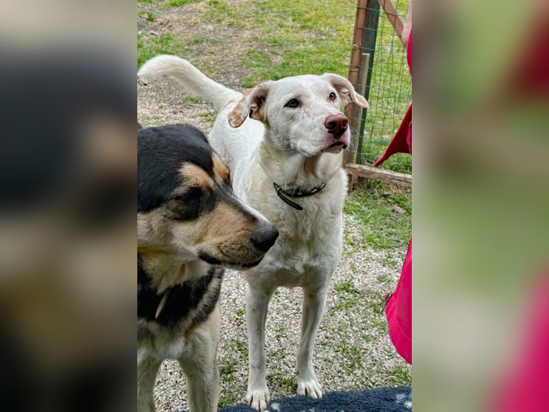 ICE wartet auf Dich!