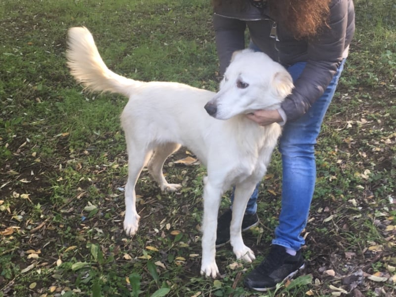 HOPE - Hofft auf eine Familie, die sie versteht