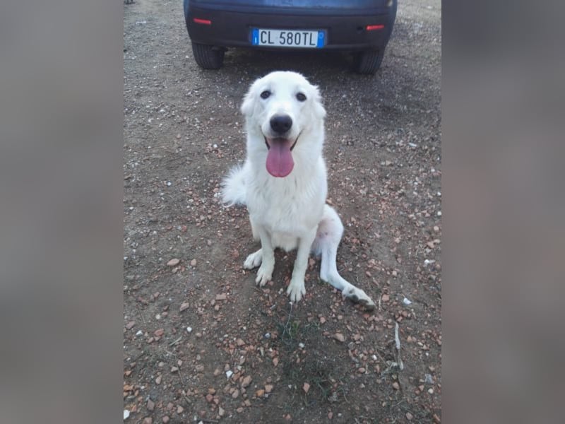 HOPE - Hofft auf eine Familie, die sie versteht