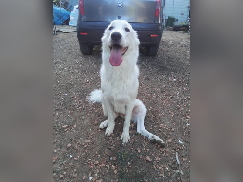 HOPE - Hofft auf eine Familie, die sie versteht