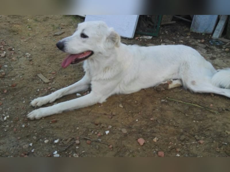 HOPE - Hofft auf eine Familie, die sie versteht