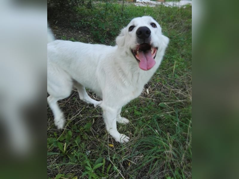 HOPE - Hofft auf eine Familie, die sie versteht