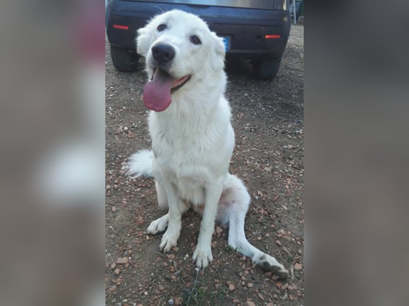 HOPE - Hofft auf eine Familie, die sie versteht