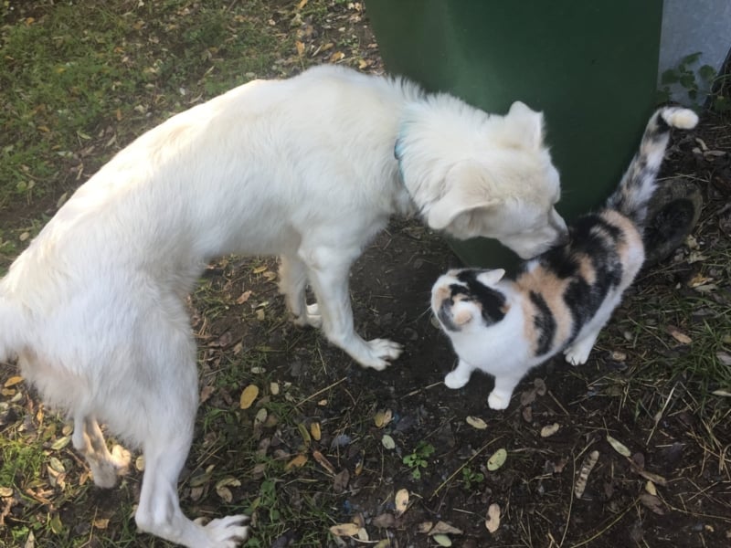 HOPE - Hofft auf eine Familie, die sie versteht