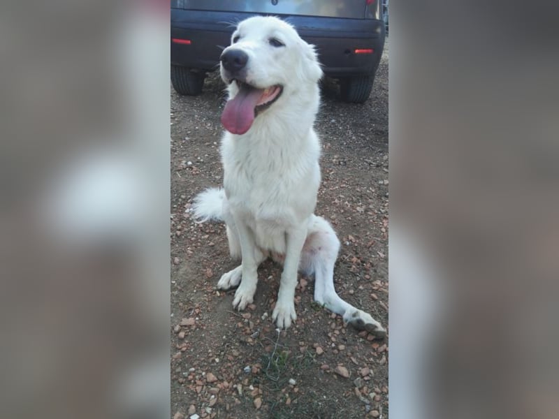 HOPE - Hofft auf eine Familie, die sie versteht