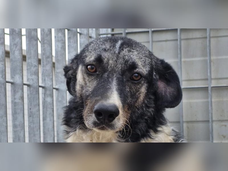 Ferdinando - ein Herz, das es zu erobern gilt