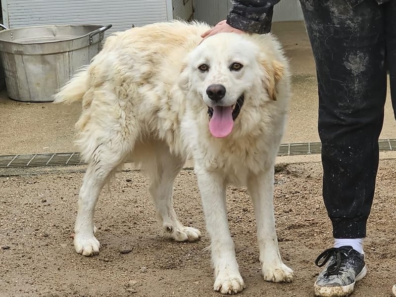 Artu - einfach nur toll