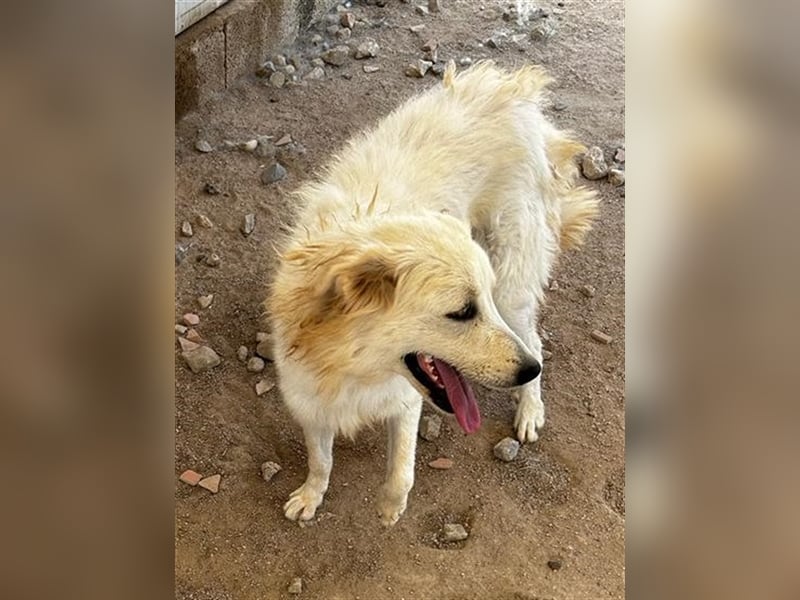 Minu - Maremmana sucht Wirkungskreis