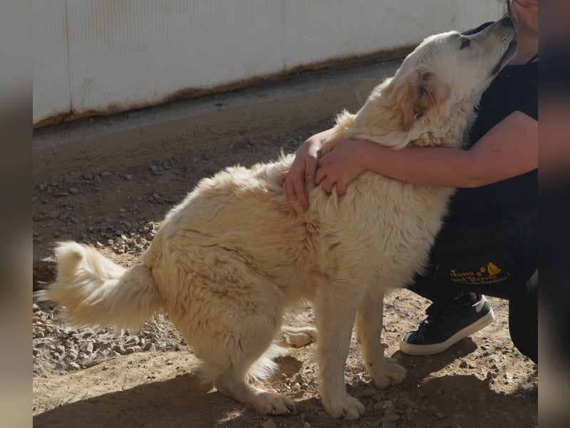 Artu - einfach nur toll