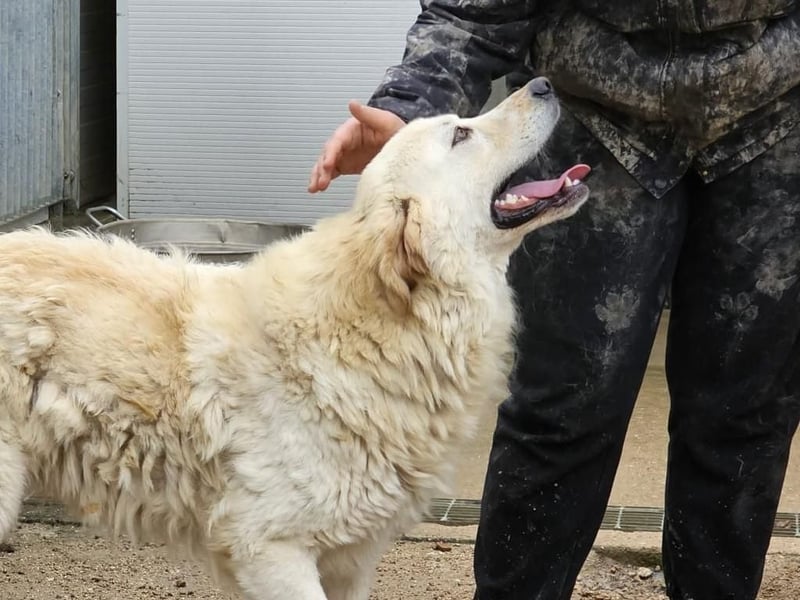 Artu - einfach nur toll