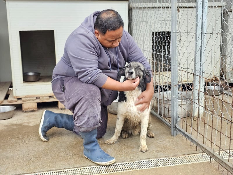 Ferdinando - ein Herz, das es zu erobern gilt