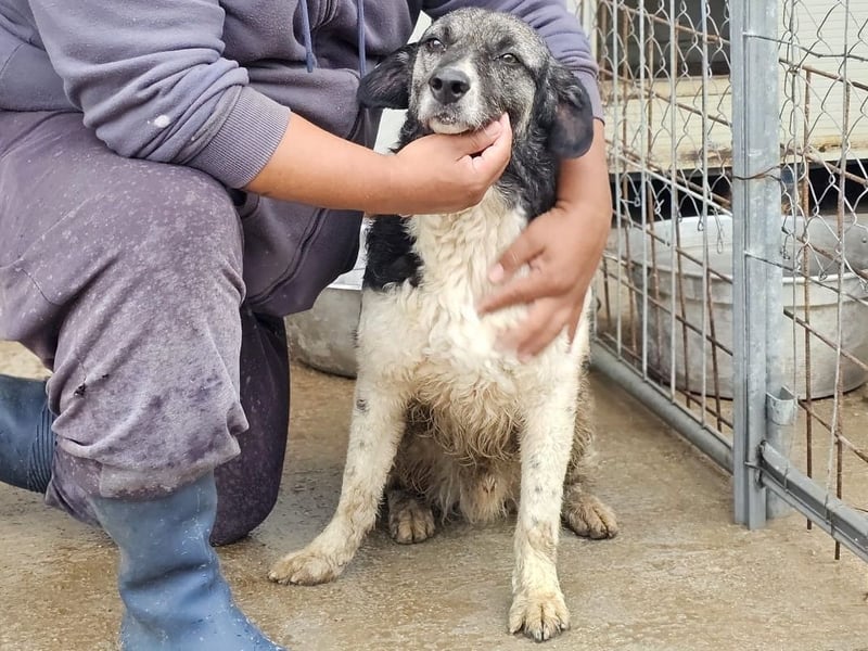 Ferdinando - ein Herz, das es zu erobern gilt