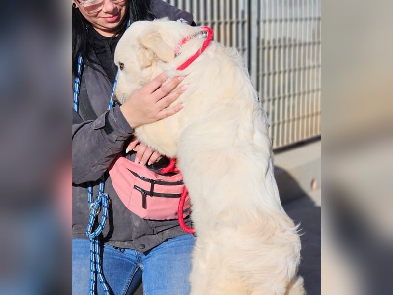 Asix - Zwischen Sehnsucht und Zurückhaltung