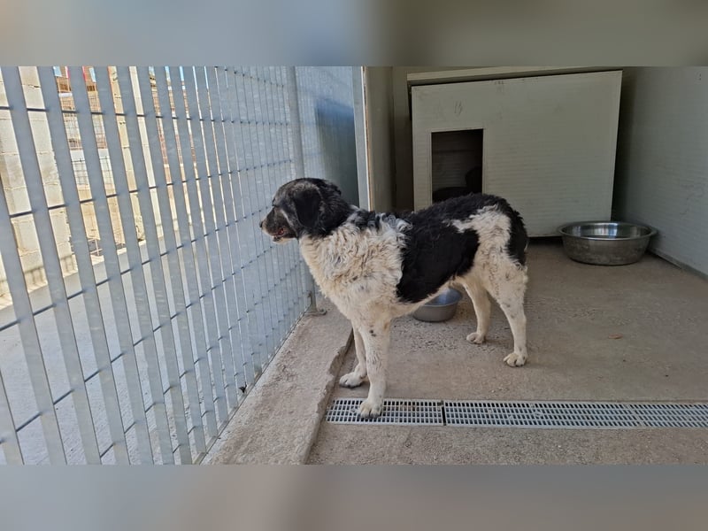 Ferdinando - ein Herz, das es zu erobern gilt