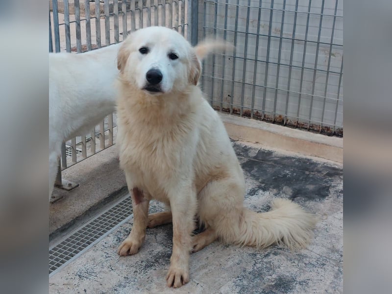 Dodi:  was für eine liebe Seele