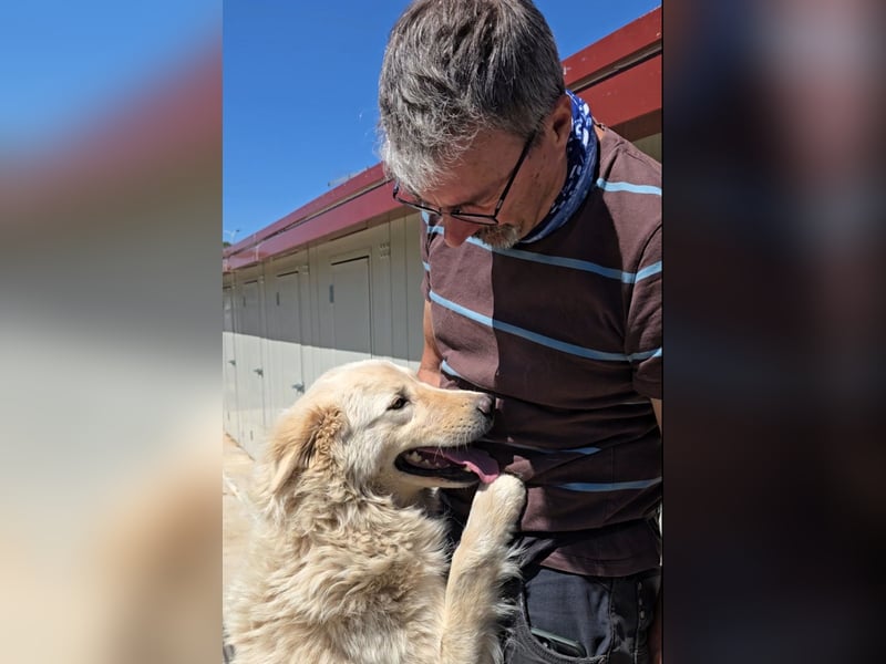 Olaf: wie groß kann Sehnsucht sein