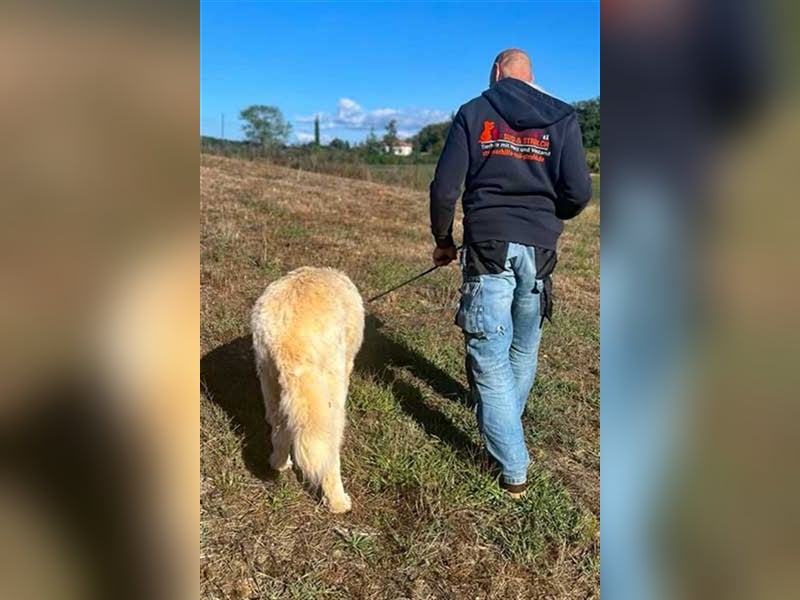 Zorro sucht sein Glück!