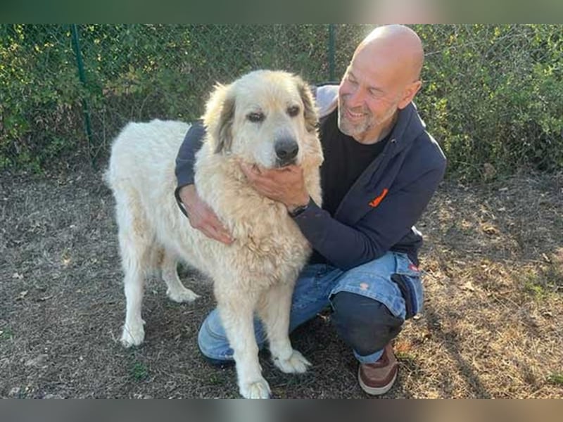 Zorro sucht sein Glück!