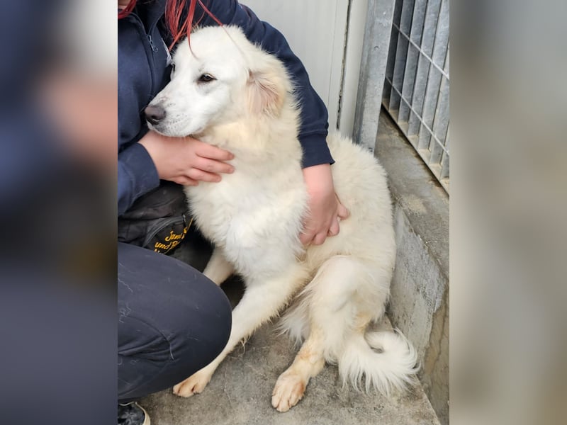 Romina - unser Sonnenschein sucht ein Zuhause