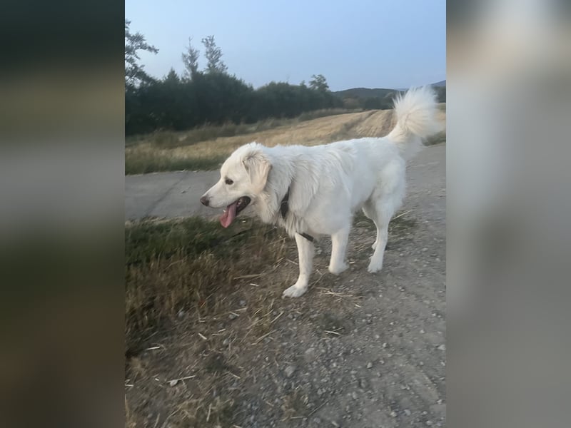 Franzl sucht seinen besonderen Lebensplatz