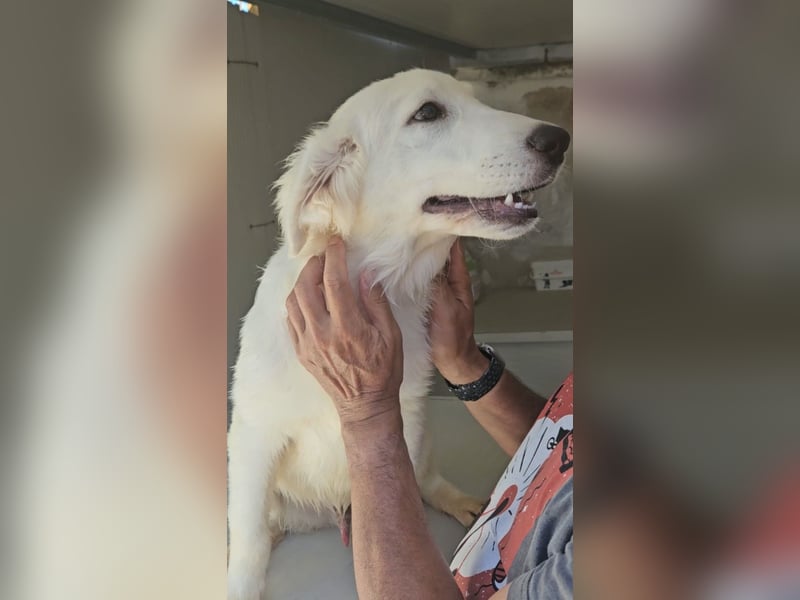 Lars: ihn muss man lieb haben