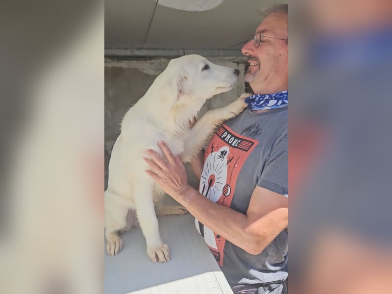 Lars: ihn muss man lieb haben