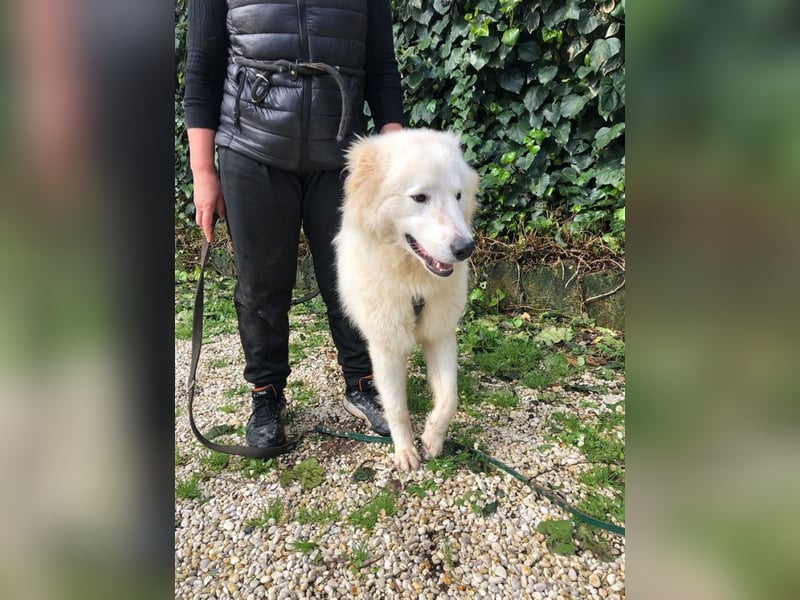 Crumble - mindestens Dreimeilenstiefel hat er angezogen