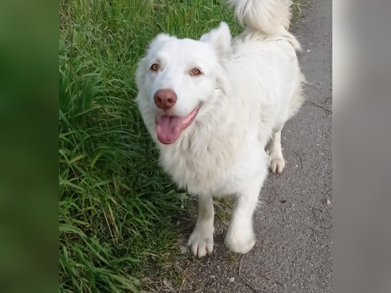 Billy