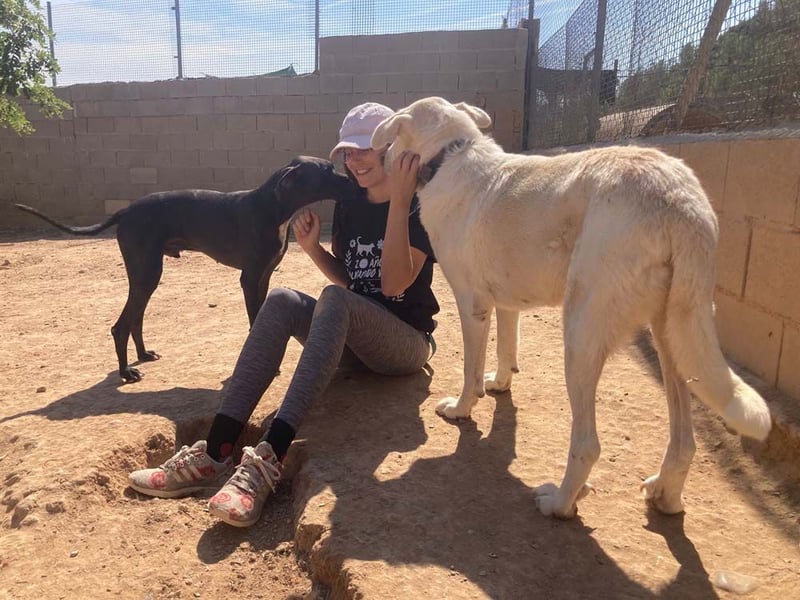 MOON-sanftes,gutmütiges Schmusemädchen mit großem Herzen sucht sehnsüchtig liebe "Für-immer-Familie"