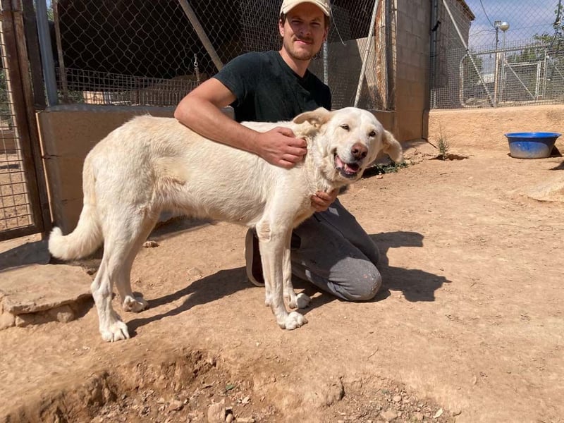 MOON-sanftes,gutmütiges Schmusemädchen mit großem Herzen sucht sehnsüchtig liebe "Für-immer-Familie"